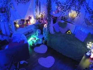 voyeurcam veccasalt 01